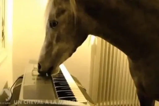 "30 millions d'amis" en dix séquences cultes