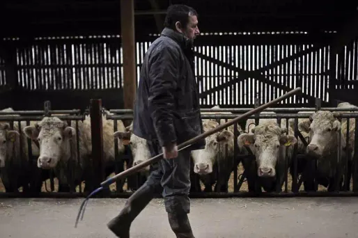 Image d'illustration.