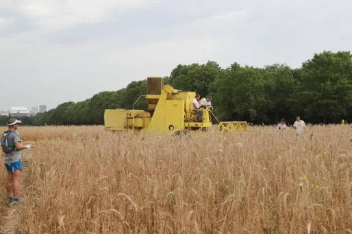 moisson paris vincennes 1280