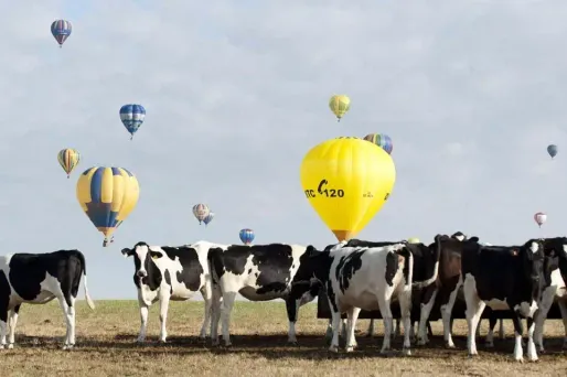 Image d'illustration