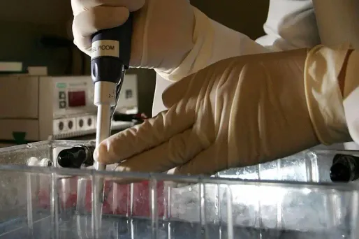 Essai clinique de Rennes : le laboratoire portugais renonce à développer sa molécule