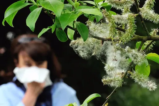 Image d'illustration.