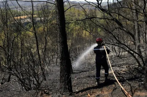 Au total 560 hectares sont partis en fumée. Une villa et deux camions de pompiers ont été brûlés dans le sinistre.