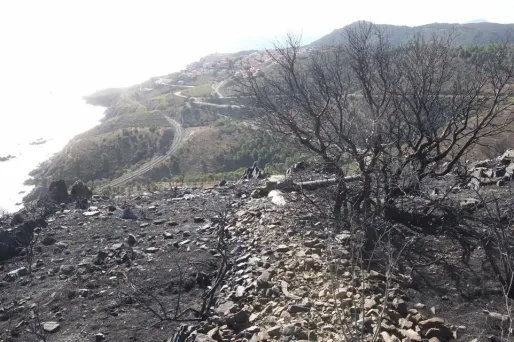 Image d'illustration.