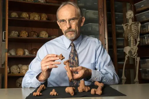 L'australopithèque Lucy est "probablement" morte en tombant d'un arbre