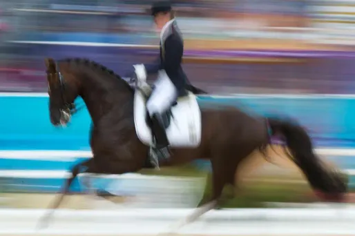 equitation dressage 1280