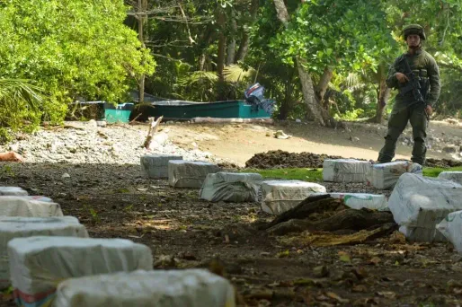 Image d'illustration