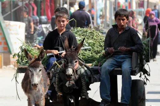 Des enfants syriens travaillant dans un camp de réfugiés en Jordanie.