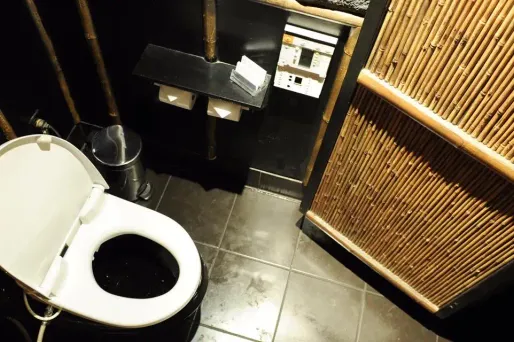 L'Inde se félicite d'avoir construit 20 millions de toilettes en deux ans