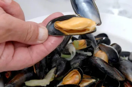 11.08.Moule coquillage.HERWIG VERGULT  BELGA  AFP.1280.640.jpg