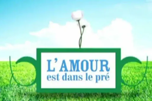 Audiences TV : M6 leader avec "L'amour est dans le pré"
