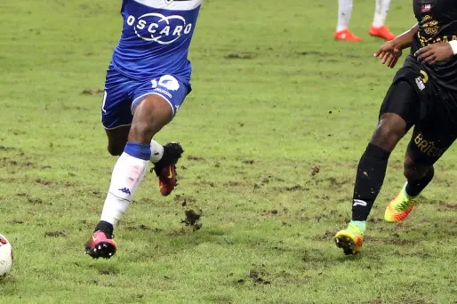 La détérioration des pelouses est due au pythium, un champignon qui apparaît en raison de la forte chaleur et de l'humidité.