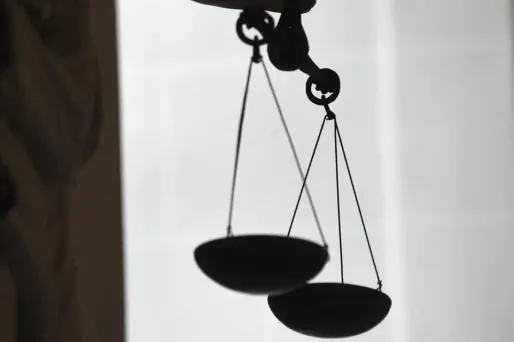 La cour d'assise de l'Essonne a requis trente ans de prison contre le prévenu, dont quinze de sûreté.