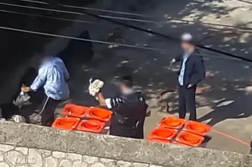 Cet abattage rituel juif de poulets a lieu avant la fête de Yom Kippour.