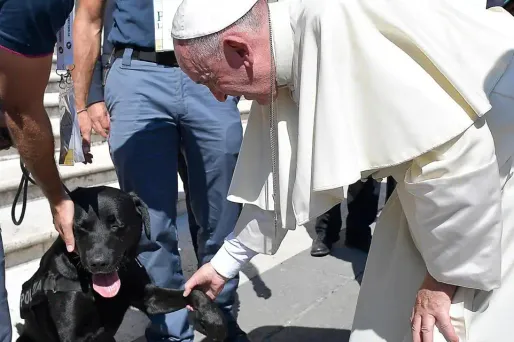Une petite fille de quatre ans avait été retrouvée vivante grâce au chien renifleur Leo qui l'avait localisée.