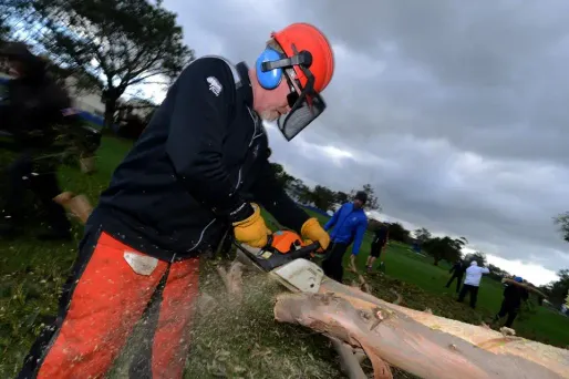 tronçonneuse crédit : DONALD MIRALLE / GETTY IMAGES NORTH AMERICA / AFP - 1280