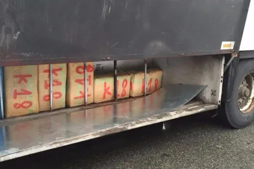 Cannabis saisi, 1280x640