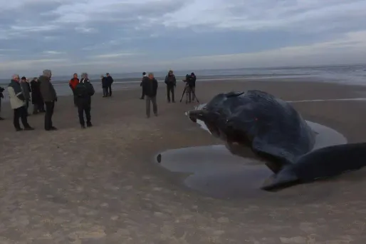 Image d'illustration.