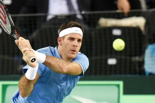 Coupe Davis - Finale : l'Argentine égalise face à la Croatie grâce à Del Potro