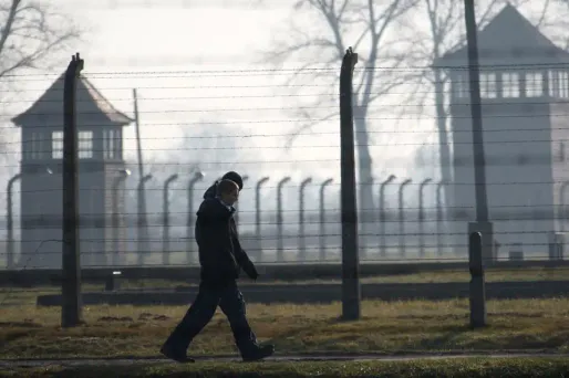 Le port de signes nazis est passible de poursuites judiciaires en Allemagne.