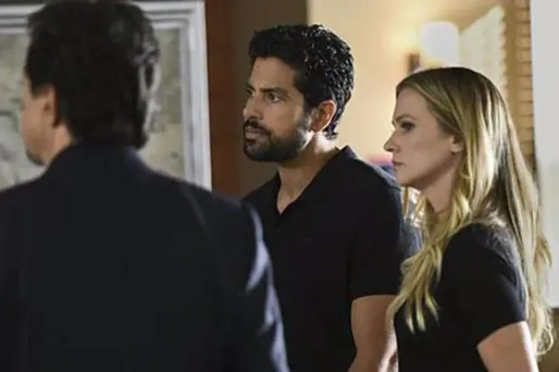 3,8 millions de personnes ont regardé "Esprits criminels" sur TF1 mercredi soir.