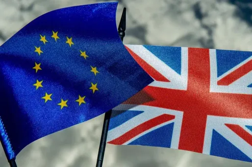 Le dictionnaire définit ainsi le Brexit comme le "retrait (proposé) du Royaume-Uni de l'Union européenne, et le processus politique qui y est associé".