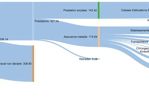 Fraude sociale : d’où viennent les abus ?