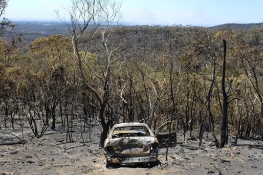 Le sud de l'Australie ravagé par de violents feux de forêt