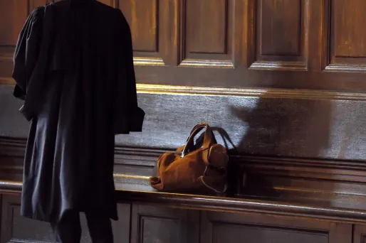 Lyon : une avocate radiée pour 1 million d'euros de surfacturations