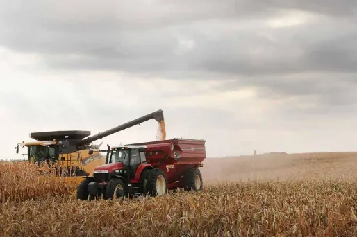 OGM : l’Europe clarifie les règles du jeu mais…