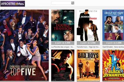 TF1 se lance dans la vidéo à la demande ethnique