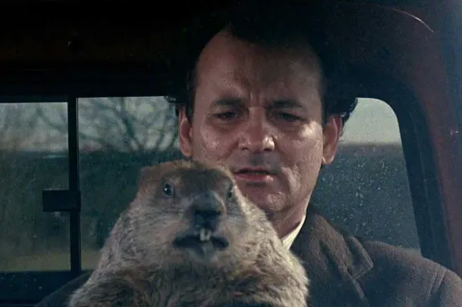 Amerique du Nord : querelle de marmottes sur la météo