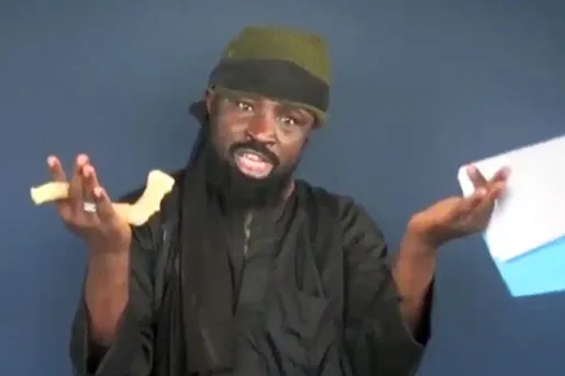 L’allégeance de Boko Haram à l’EI, "du marketing terroriste"