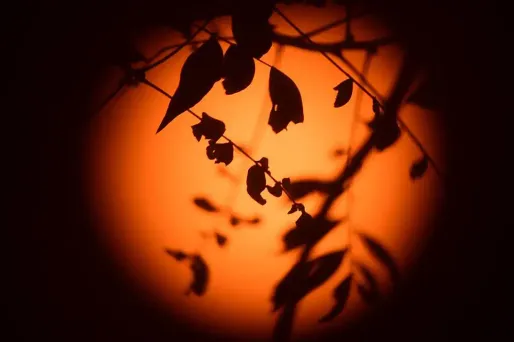 VIDÉO - Découvrez les secrets de l’éclipse solaire de vendredi