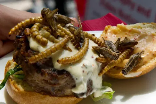 Des insectes dans votre assiette ? Oui, mais avec "prudence"