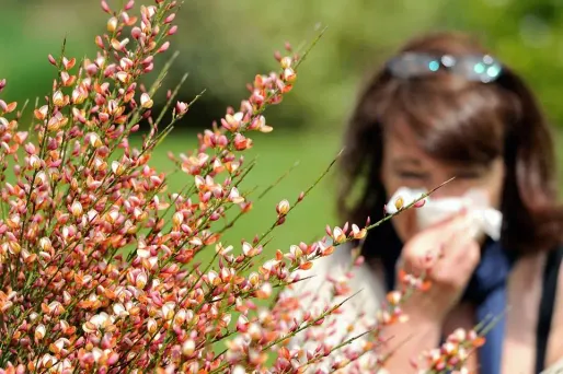 Pollens : comment lutter contre les allergies ?