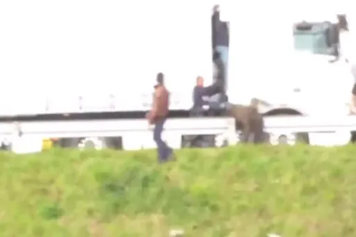 Une vidéo, tournée par l'association Calais Migrant Solidarity, montre des migrants de Calais délogés violemment par des CRS.