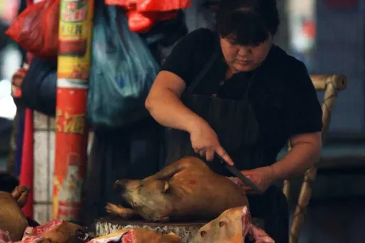 Viande Chien Yulin Chine AFP 1280