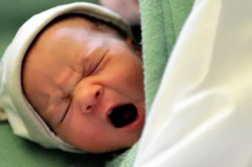 Greffe d'utérus : après la Suède, la France sur les rangs