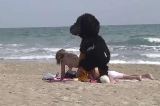 Gaillard capture écran 1280x640