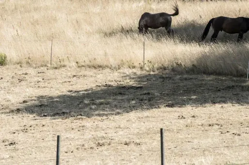Sécheresse AFP 1280
