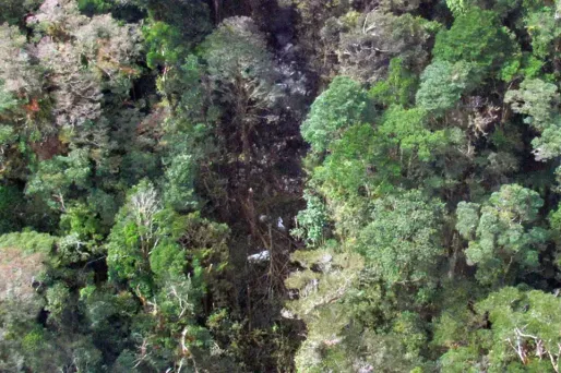 trigana air, indonésie, crash