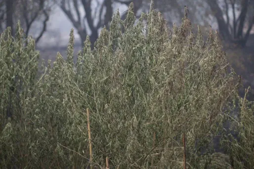 Photo d'illustration