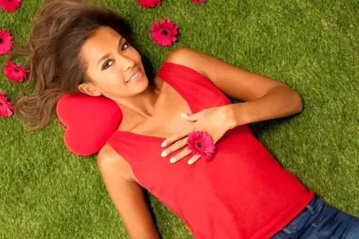 Audiences télé : L'Amour est dans le pré en tête lundi soir