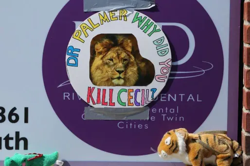 Le dentiste américain qui a tué le lion Cecil retourne travailler