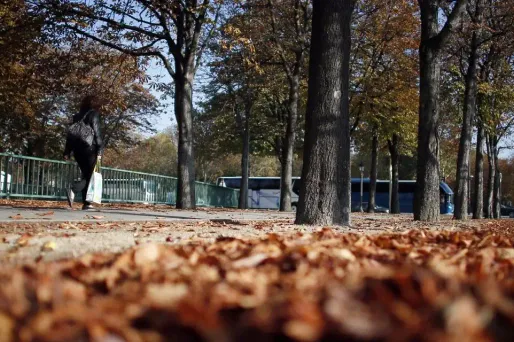 Le temps mardi : toujours de la douceur