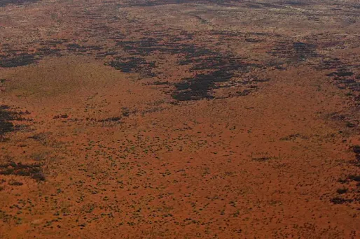 Australie : il survit six jours dans le désert en mangeant des fourmis