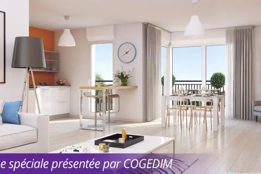 Immobilier : les carottes fiscales restent nombreuses