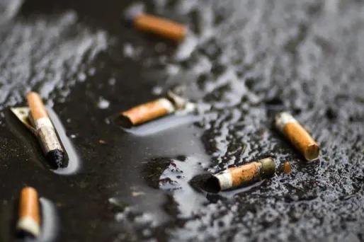 Mégots de cigarettes, 1280x640