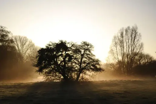 Météo du vendredi 20 novembre : perturbé au nord, clément au sud